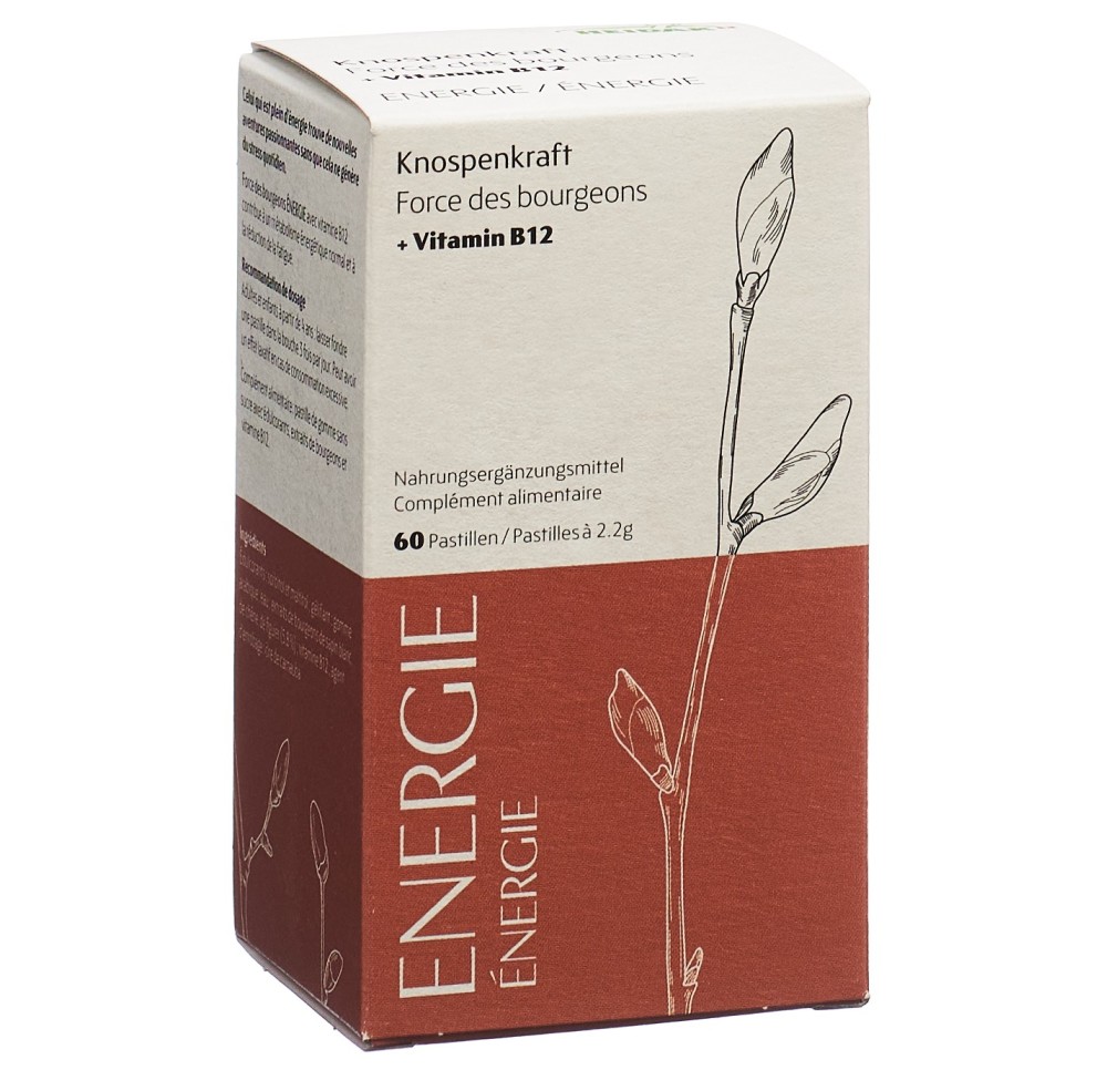 HEIDAK force bourgeons pastilles énergie 60 pce HEIDAK force bourgeons pastilles énergie 60 pce