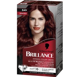 BRILLANCE 849 Châtain Automnal
