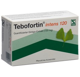 TEBOFORTIN intens 120 cpr pell 120 mg 90 pce
