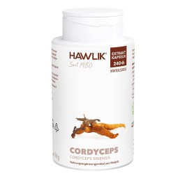 HAWLIK Cordyceps Extrait caps 240 pce