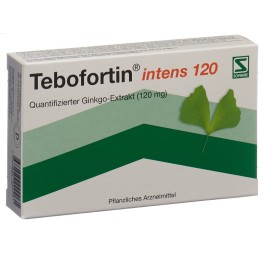 TEBOFORTIN intens 120 cpr pell 120 mg 30 pce