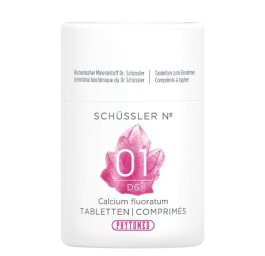 PHYTOMED SCHÜSSLER No1 calc fluor cpr 6 D 100 g