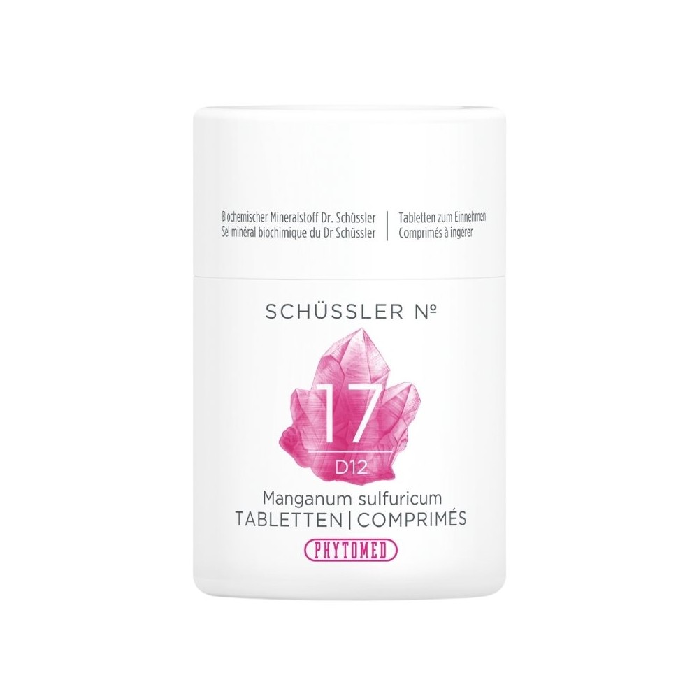 PHYTOMED SCHÜSSLER No17 mang sulf cpr 12 D 100 g