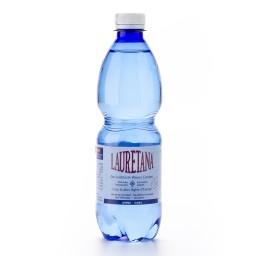 LAURETANA eau minérale sans gaz 24 fl Pet 500 ml