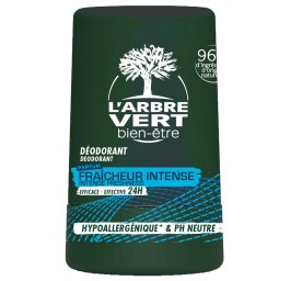 L'ARBRE VERT Déo éco roll on homme vit B5 fr 50 ml
