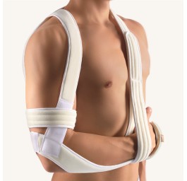 BORT OMOBASIC selon Gilchrist Gr2 blanc