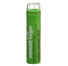 SN ledum palustre gran 9 CH 4 g