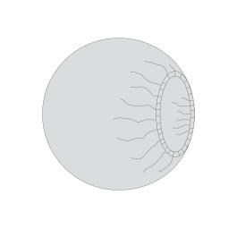 BARRIER housse universelle 150cm ronde 10 pce
