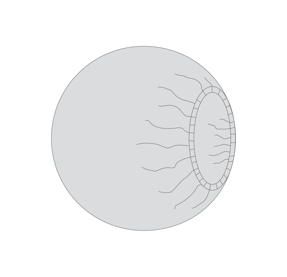 BARRIER housse universelle 150cm ronde 10 pce