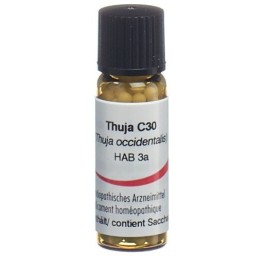 OMIDA thuja glob 30 C 2 g