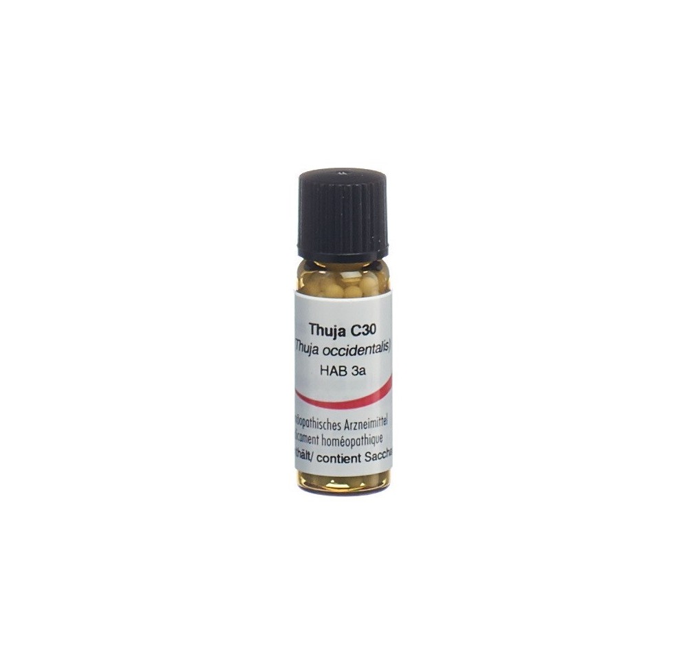 OMIDA thuja glob 30 C 2 g