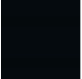 ELSA housse pour oreiller 33x9cm velours noir
