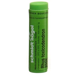 SN rhus toxicodendron glob 200 K 1 g