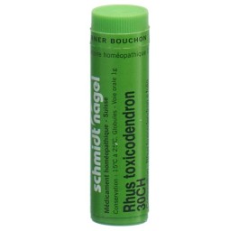 SN rhus toxicodendron glob 30 CH 1 g