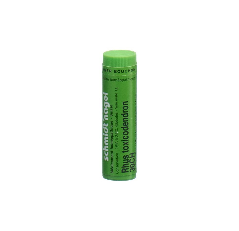 SN rhus toxicodendron glob 30 CH 1 g SN rhus toxicodendron glob 30 CH 1 g