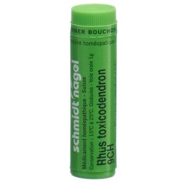 SN rhus toxicodendron glob 9 CH 1 g