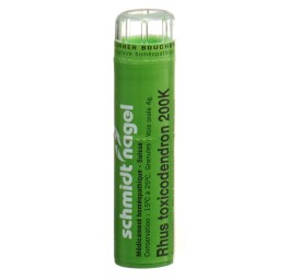 SN rhus toxicodendron gran 200 K 4 g