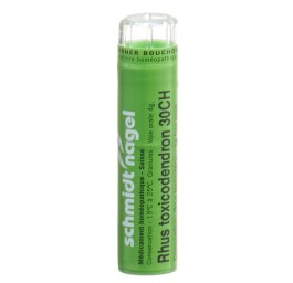 SN rhus toxicodendron gran 30 CH 4 g