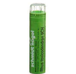 SN rhus toxicodendron gran 9 CH 4 g