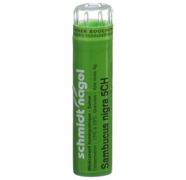 SN sambucus nigra gran 5 CH 4 g