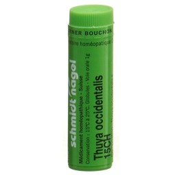SN thuya occidentalis glob 15 CH 1 g