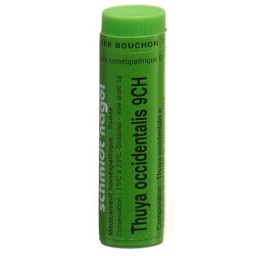 SN thuya occidentalis glob 9 CH 1 g