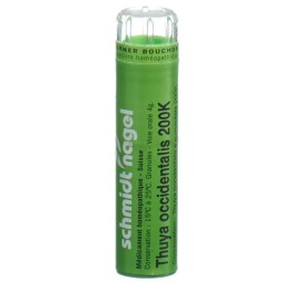 SN thuya occidentalis gran 200 K 4 g