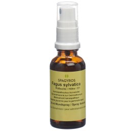 SPAGYROS GEMMO fagus sylvatica mac glyc 1 D 30 ml
