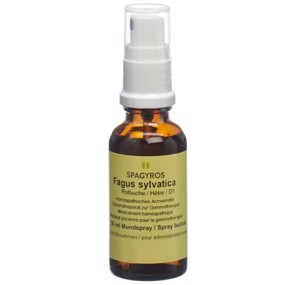 SPAGYROS GEMMO fagus sylvatica mac glyc 1 D 30 ml