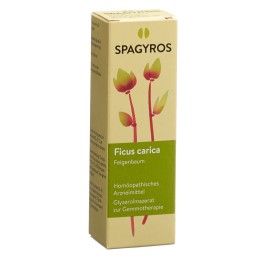 SPAGYROS GEMMO ficus carica mac glyc 1 D 30 ml