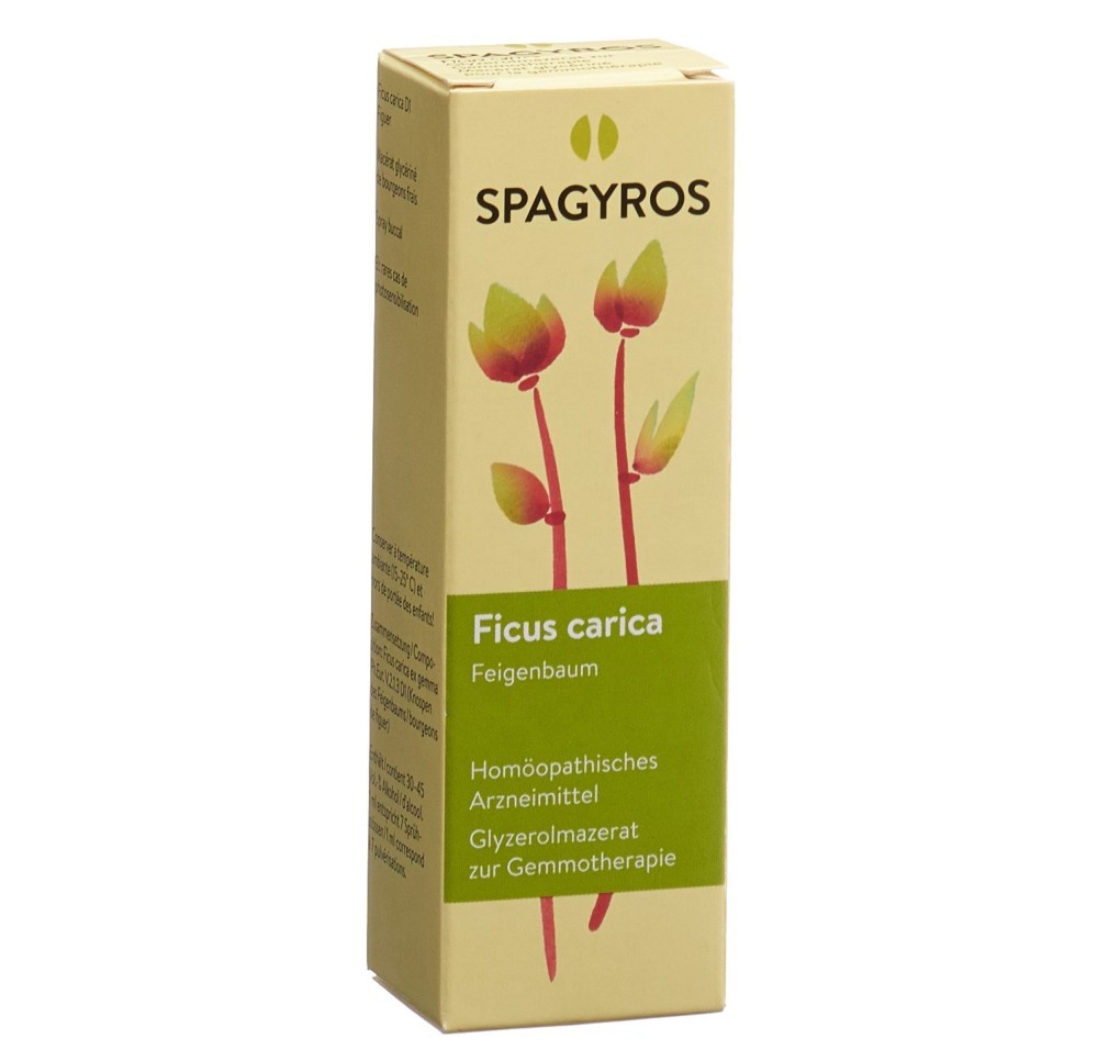 SPAGYROS GEMMO ficus carica mac glyc 1 D 30 ml