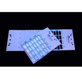 PHARMIS cartes blister quattro hot 250 pce