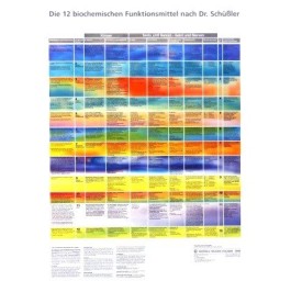 PHYTOMED SCHÜSSLER Poster mit Logo