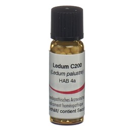 OMIDA ledum glob 200 C 2 g
