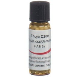 OMIDA thuja glob 200 C 2 g