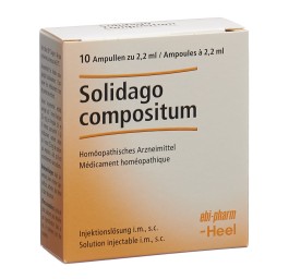 SOLIDAGO COMP Heel sol inj 10 amp 2.2 ml