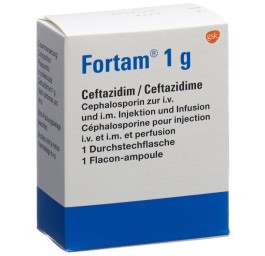 FORTAM subst sèche 1 g flac