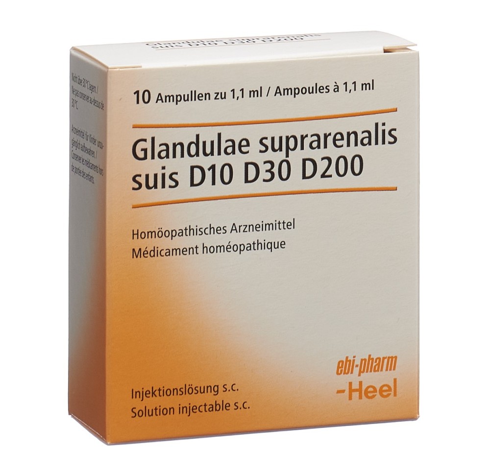 GLAND SUPRAREN SUIS Injeel sol inj 10 amp 1.1 ml GLAND SUPRAREN SUIS Injeel sol inj 10 amp 1.1 ml