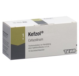 KEFZOL subst sèche 1 g flac 10 pce