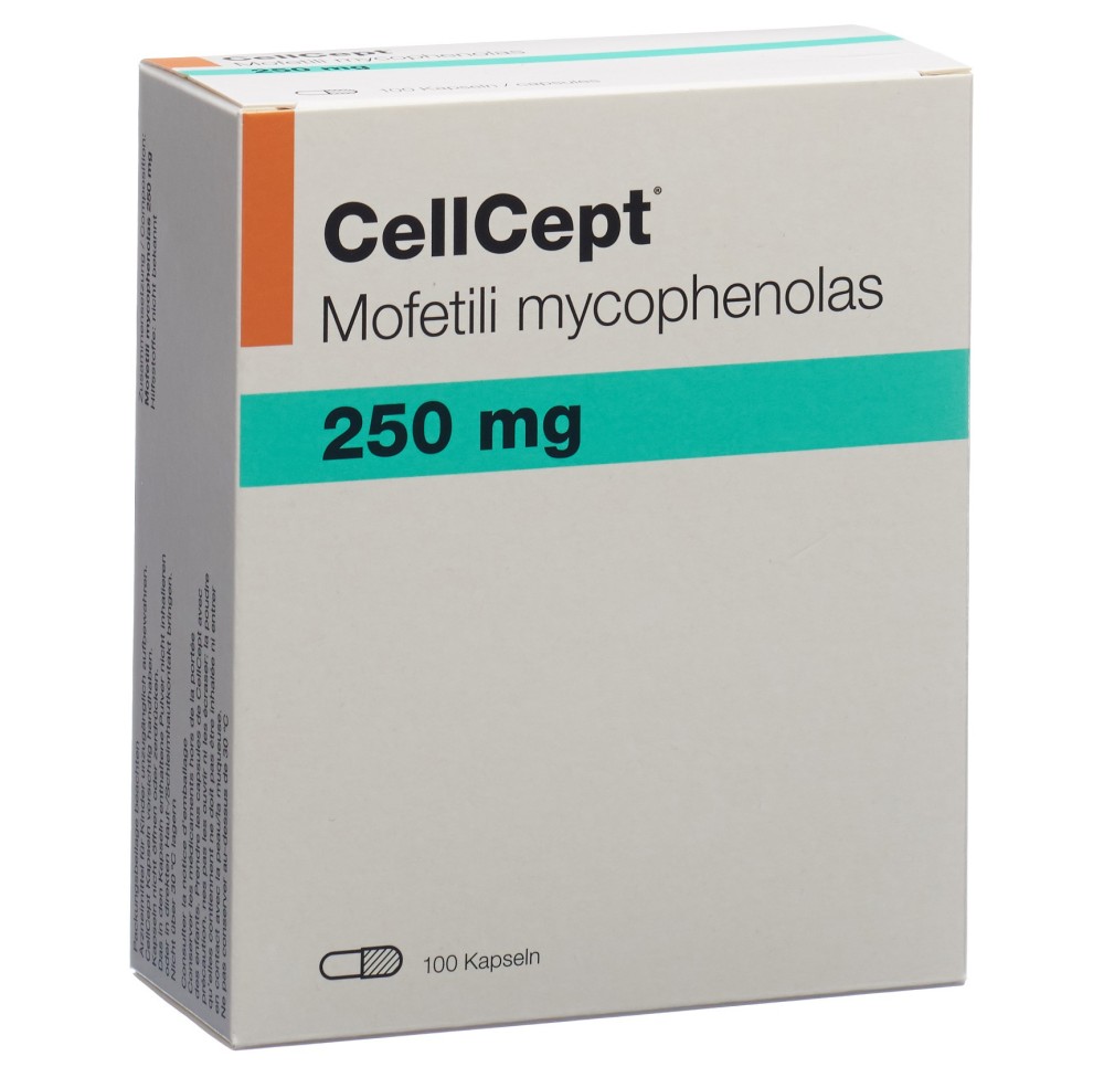 CELLCEPT (IP) caps 250 mg 100 pce CELLCEPT (IP) caps 250 mg 100 pce