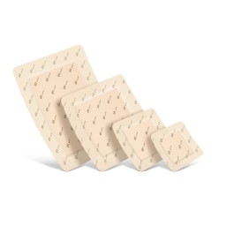 SUPRASORB P sensitive border 7.5x8.5cm 10 pce
