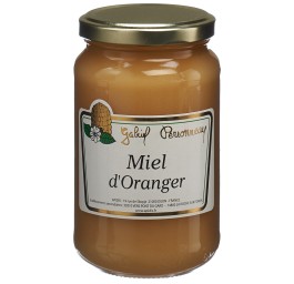APIDIS miel oranger verre 500 g