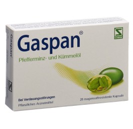GASPAN caps moll gastro-résistantes 28 pce