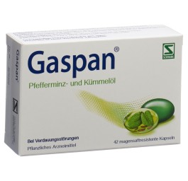 GASPAN caps moll gastro-résistantes 42 pce