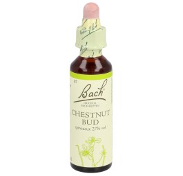 FLEURS DE BACH original chestnut bud no07 20 ml