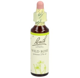 FLEURS DE BACH original wild rose no37 20 ml