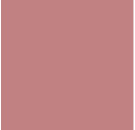 ELSA housse pour oreiller 40x60cm velours vieux ro