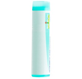 BOIRON thuya occidentalis glob 30 K 1 dos