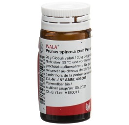 WALA prunus spinosa ferm c ferro glob 3 D fl 20 g