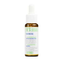PHYTOMED No13 Bach Concen goutt sans alcool 10 ml